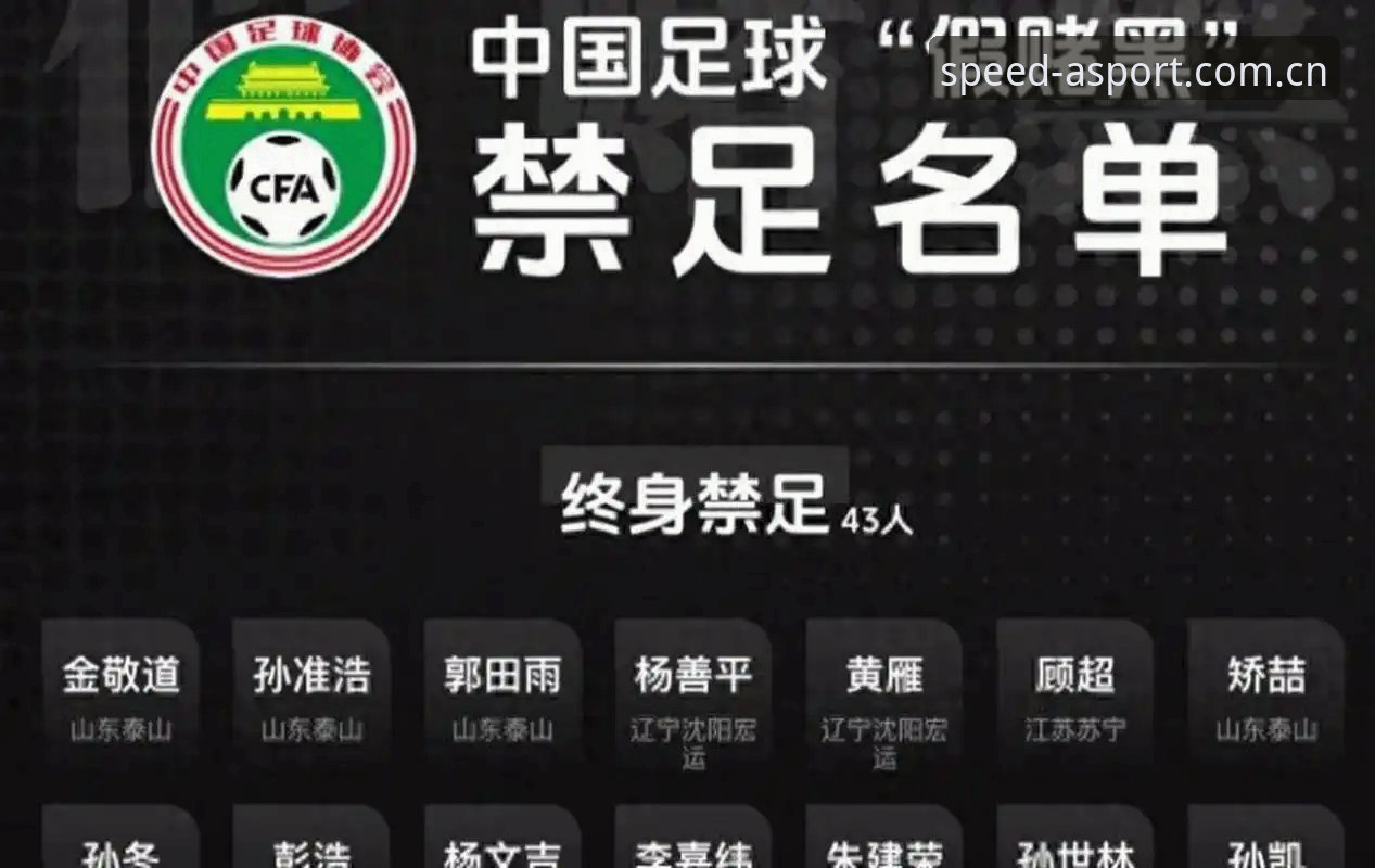 资深用户分享：足协第三批禁足名单解读——从亚体育APP看中国足球反腐风暴